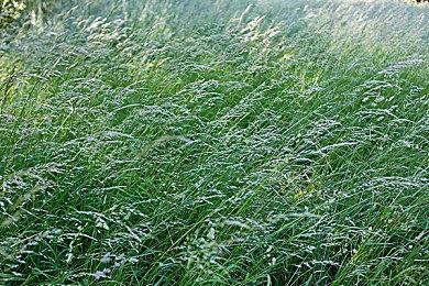 育碧回应《刺客信条：影》偷跑：很遗憾 请不要剧透